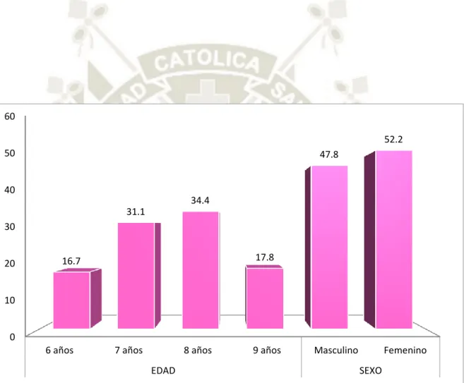 GRÁFICO Nº 1 
