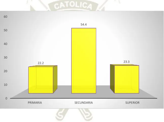 GRÁFICO Nª 5 