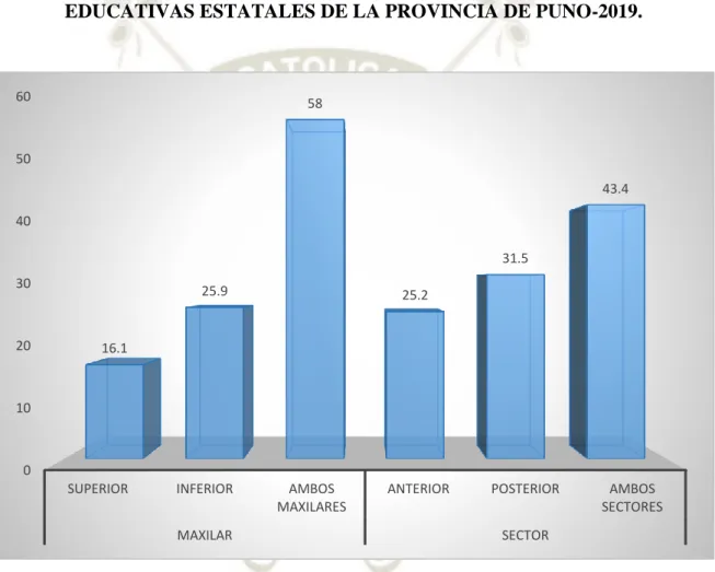 GRÁFICO Nº 8 