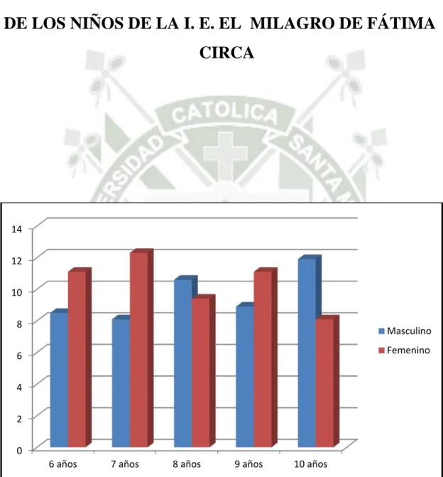 GRÁFICO Nº 1 