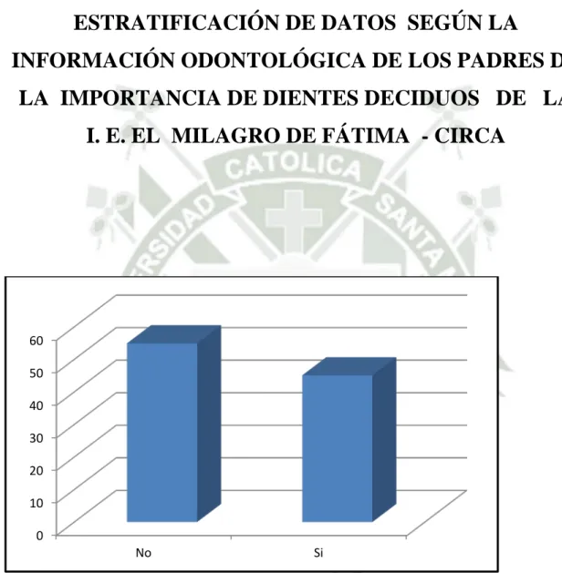 GRÁFICO  Nº 4 
