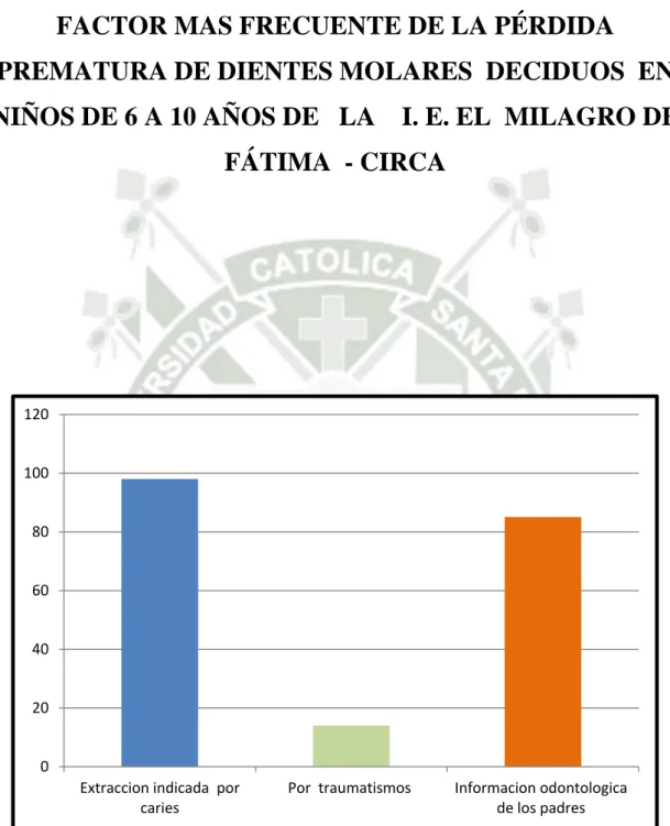 GRÁFICO   Nº 7 