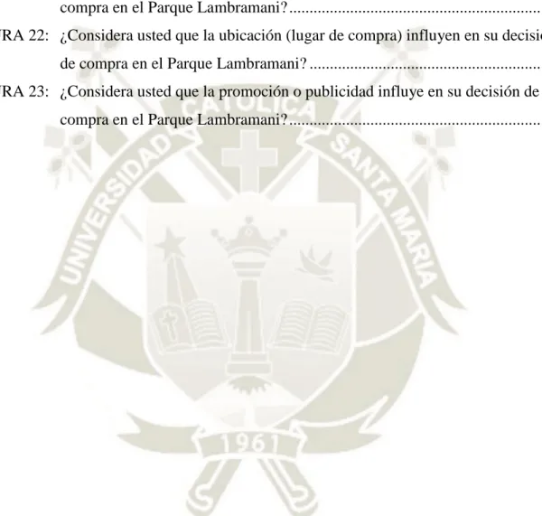 FIGURA 19:   ¿Los valores mostrados en el patio de comidas del Parque Lambramani  como respeto, colaboración, honestidad y responsabilidad influyen en su  decisión de compra? .................................................................................