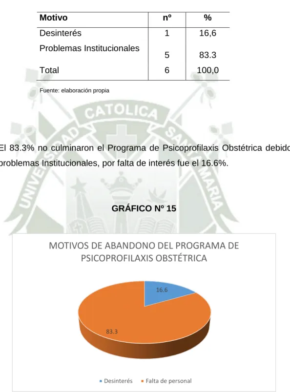 GRÁFICO Nº 15 