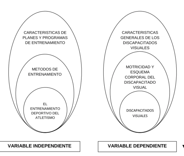 Gráfico Nº 2 Red de Inclusiones Conceptuales 