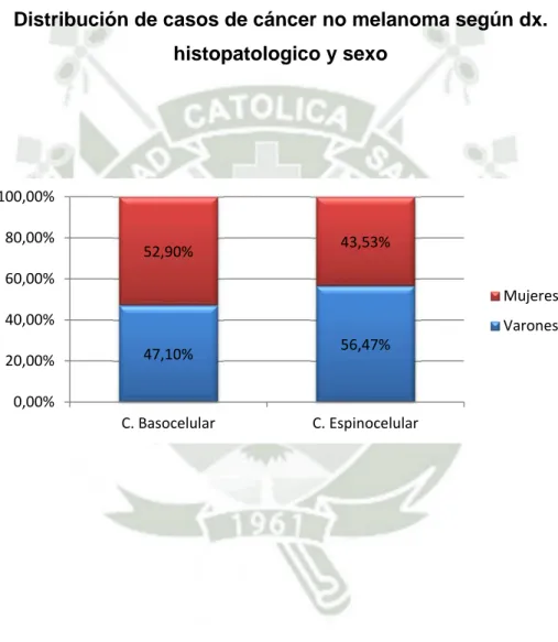 Gráfico 5 