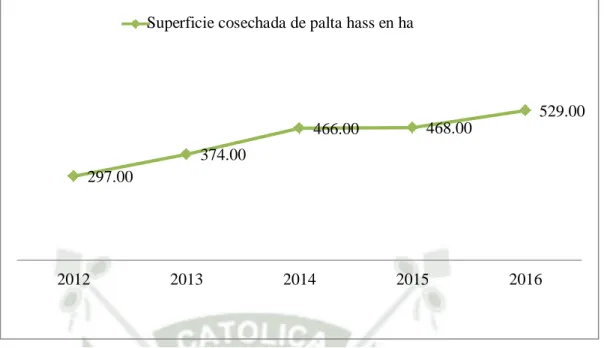 Figura 1 Superficie cosechada de palta hass en ha Arequipa (2012-2016)  Fuente: Campañas agricolas, Gerencia Regional Arequipa  