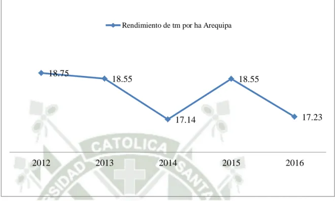 Figura 5 Rendimiento de tm por ha Arequipa (2012-2016)  Fuente: Campañas agrícolas, Gerencia Regional Arequipa  Elaboración: Propia 