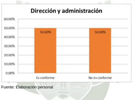 GRÁFICO N° 19 