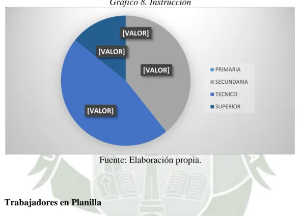 Gráfico 8. Instrucción 