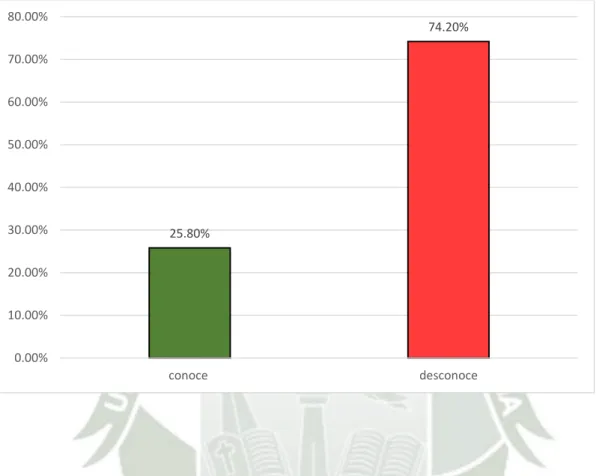 GRÁFICO Nº 10 