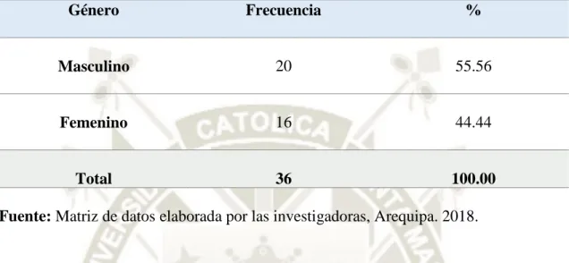 GRÁFICO Nº 1 