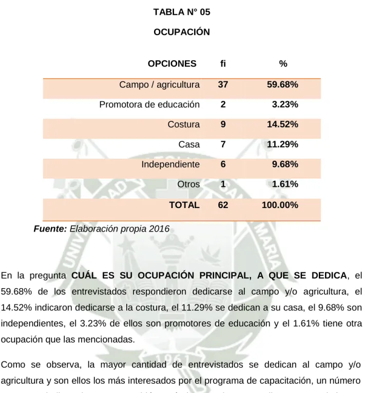 TABLA N° 05  OCUPACIÓN 