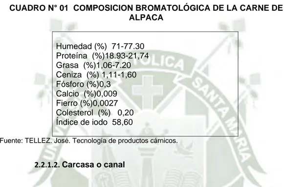 CUADRO N° 01  COMPOSICION BROMATOLÓGICA DE LA CARNE DE  ALPACA  Humedad (%)  71-77.30  Proteína  (%)18.93-21,74  Grasa  (%)1,06-7.20  Ceniza  (%) 1,11-1,60  Fósforo (%)0,3  Calcio  (%)0,009  Fierro (%)0,0027  Colesterol  (%)   0,20  Índice de iodo  58,60 
