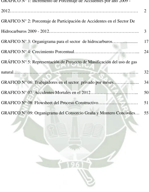 GRÁFICO N° 5: Representación de Proyecto de Masificación del uso de gas  natural…………………………………………………………………………