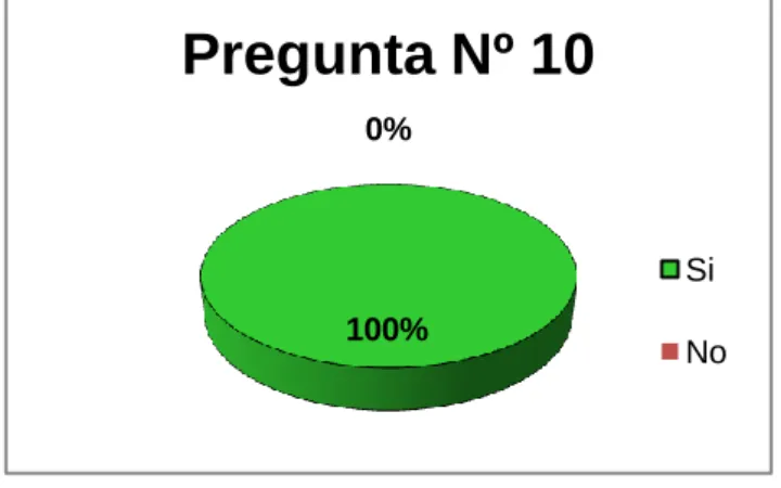 GRÁFICO Nº 12 