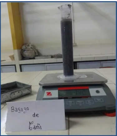 Tabla N° 18: Datos para obtener el peso específico y absorción de la CBCA 