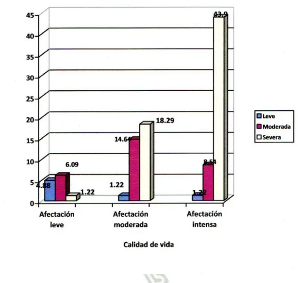 GRÁFICO N° 1 