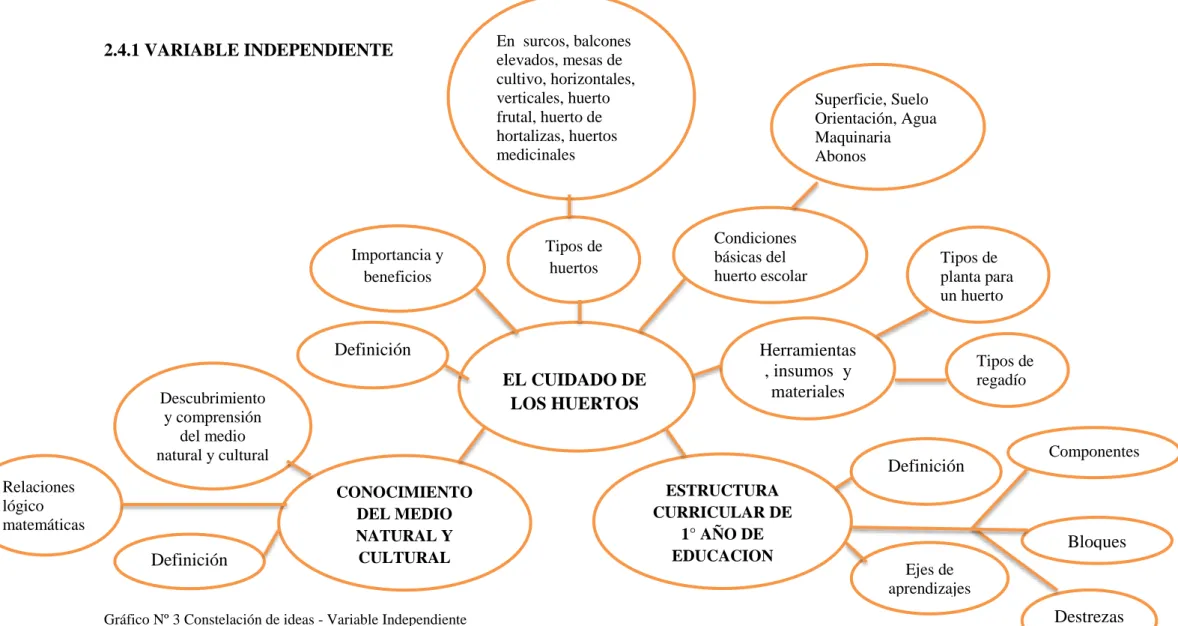 Gráfico Nº 3 Constelación de ideas - Variable Independiente    Elaborado por: Wilma Rocío Ashqui  Toasa  