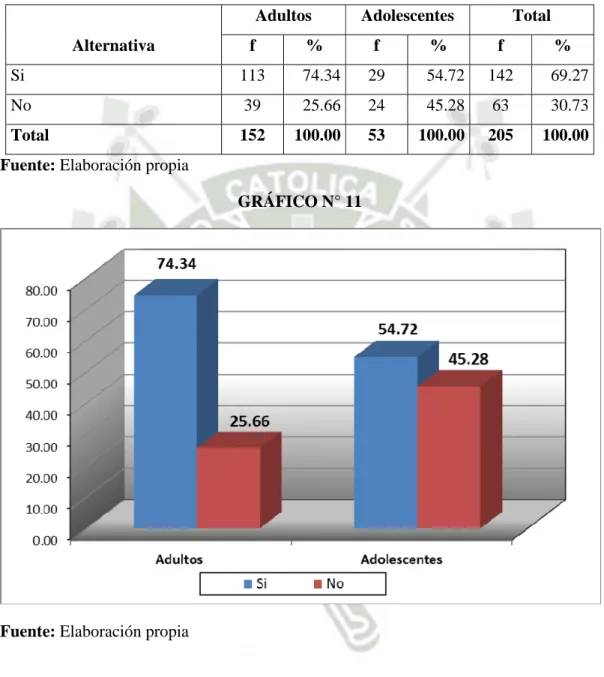 GRÁFICO N° 11 