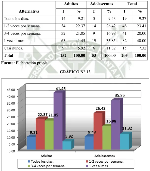 GRÁFICO N° 12 