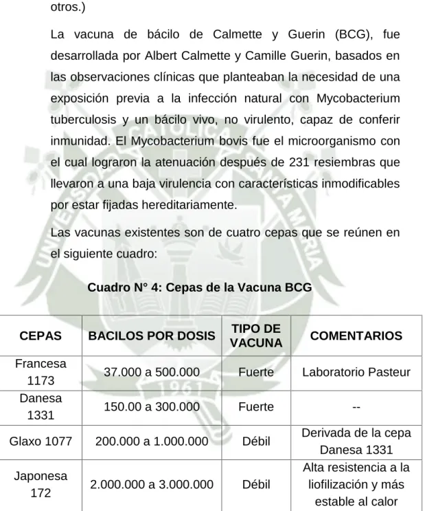 Cuadro N° 4: Cepas de la Vacuna BCG