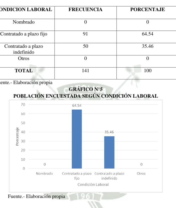 GRÁFICO N°5 