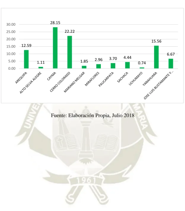 GRÁFICO N° 01 