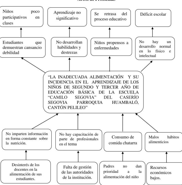 ILUSTRACIÓN 1  Árbol de Problemas 