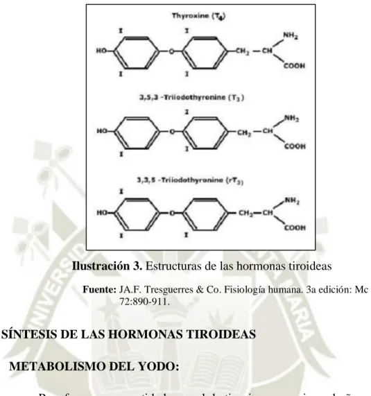 Ilustración 3. Estructuras de las hormonas tiroideas 