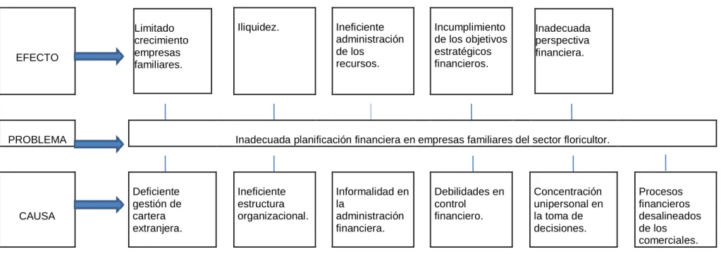 Gráfico 1: Árbol de problemas. 
