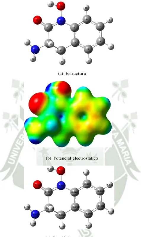 Figura  4.5:   Estructura  del  fármaco,   potencial   electrostático  y  densidad   total  de  cargas  del  mismo,  visualizados  en  GaussView
