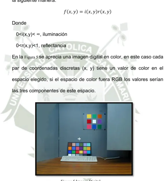 Figura 5 Imagen Digital 