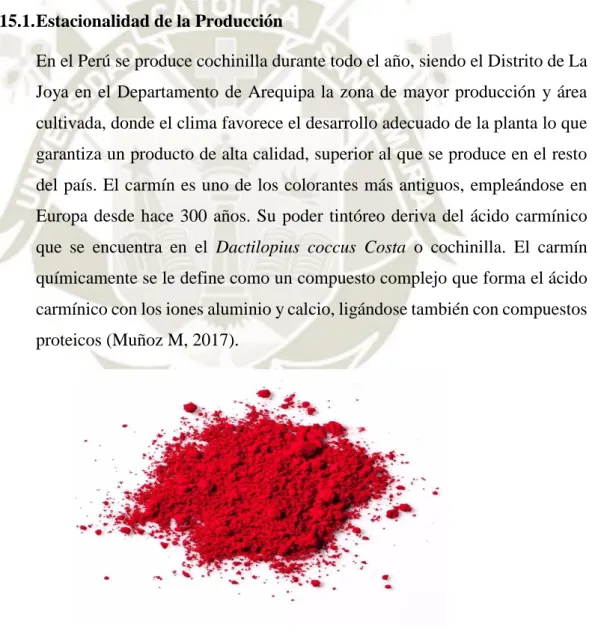 Fig. 2. Carmín de Cochinilla procesado 