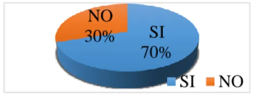 Gráfico N° 5.   