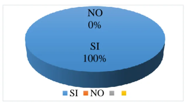 Gráfico N° 13.  