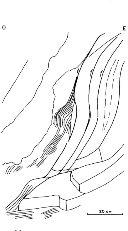 Figura 6Duplex producido en el flanco 0 del anticlinal de Bascuñano