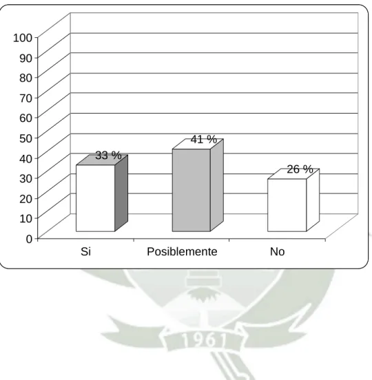 GRÁFICO Nº 1 