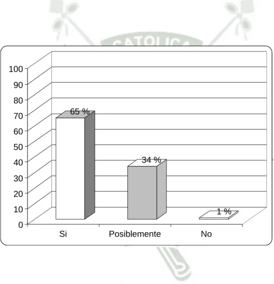 GRÁFICO Nº 8 