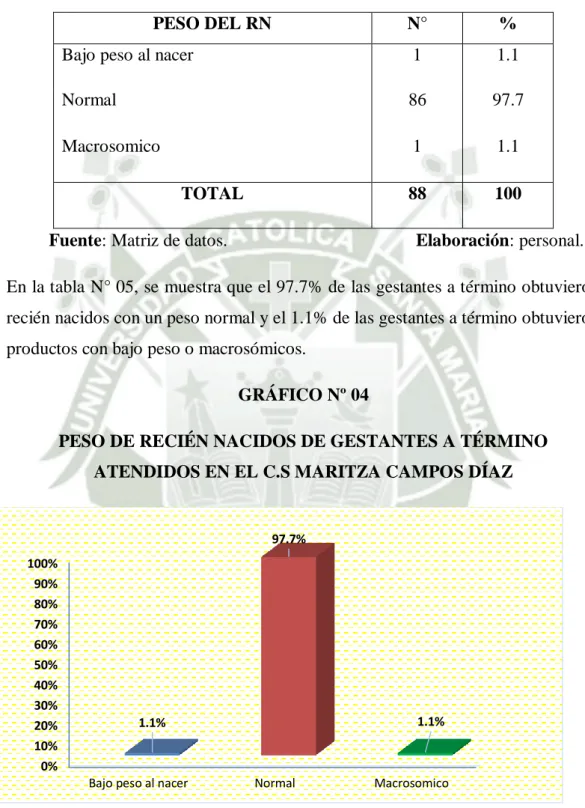 GRÁFICO Nº 04 