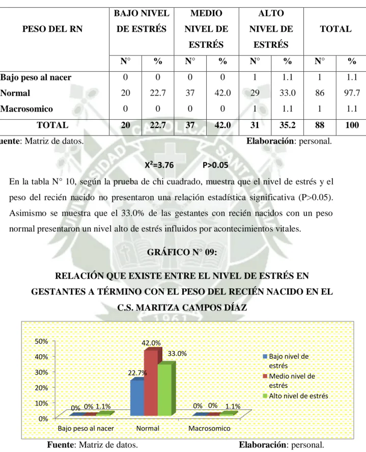 GRÁFICO N° 09:  