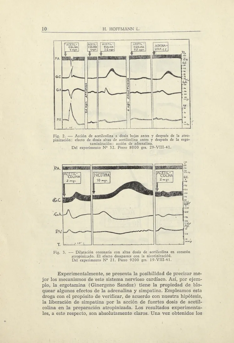Fig. 2. — Acción de acetilcolina a dosis