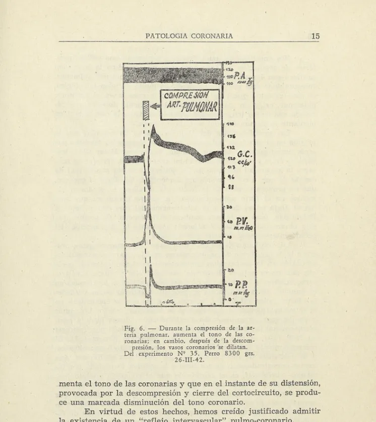 Fig. 6. — Durante la