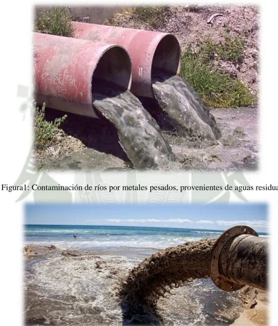 Figura 2: Contaminación de mar por metales pesados provenientes de residuos  industriales