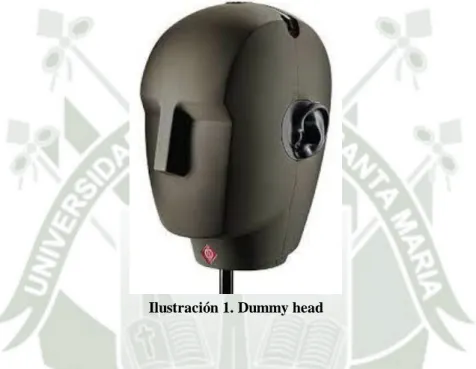 Ilustración 1. Dummy head 