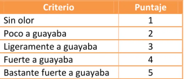 CUADRO N° 24  MATERIALES  Y EQUIPOS 
