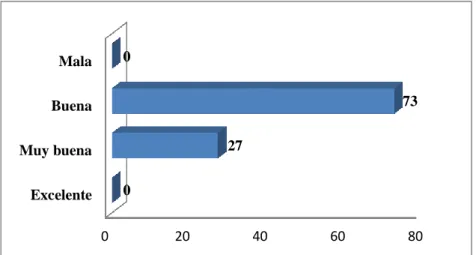 Gráfico N.- 10 Ambiente de trabajo 