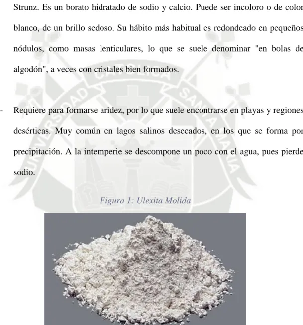 Figura 1: Ulexita Molida 