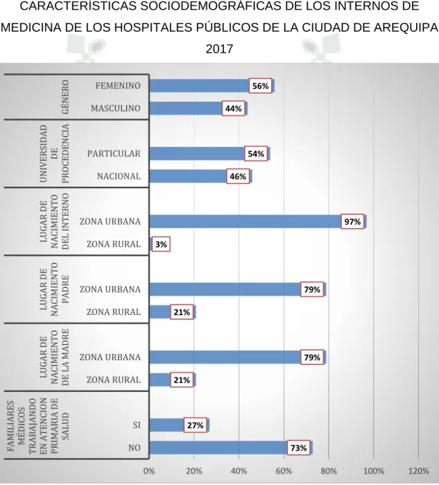 GRÁFICO Nº 1 