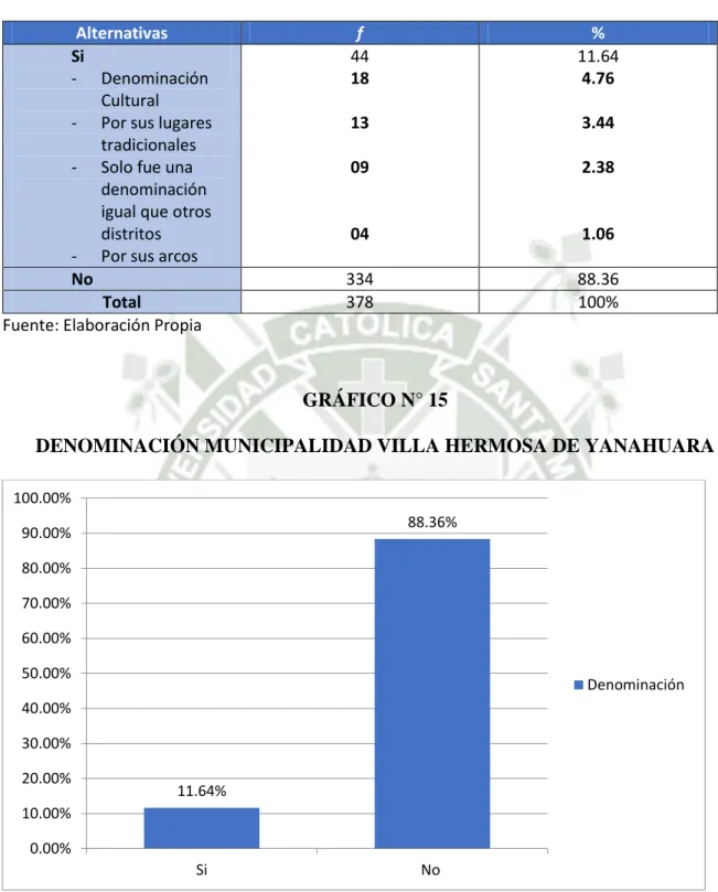 GRÁFICO N° 15 